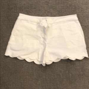 Loft shorts